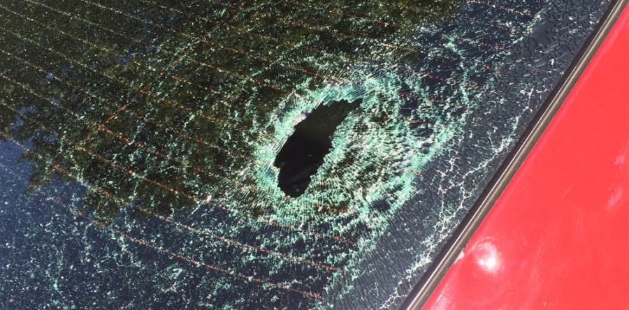 Back Glass Replacement